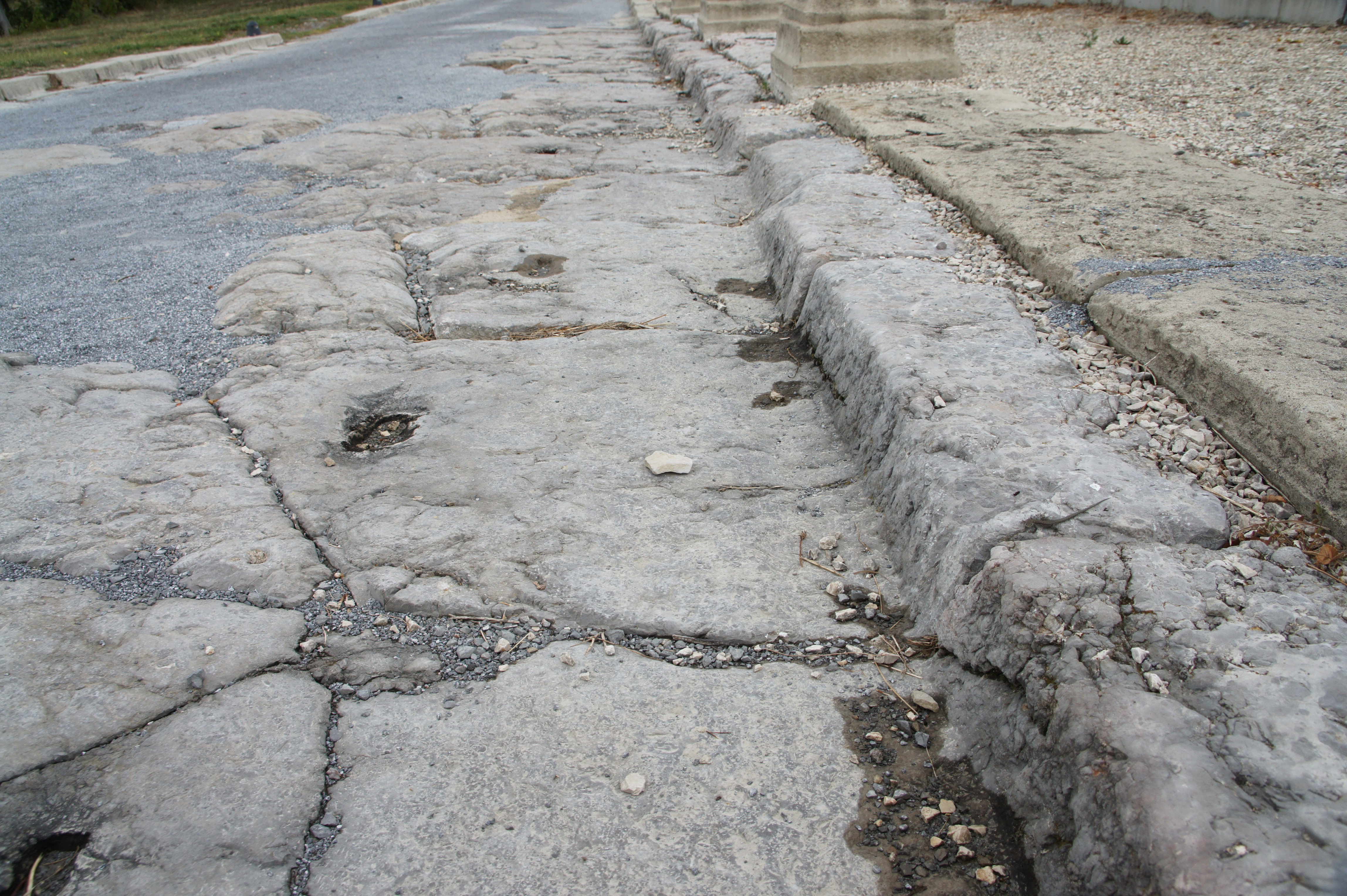 Les ruines d'une voie antique à Alba-la-Romaine (Ardèche) en septembre 2013 (crédit photo : Marc Sivignon)