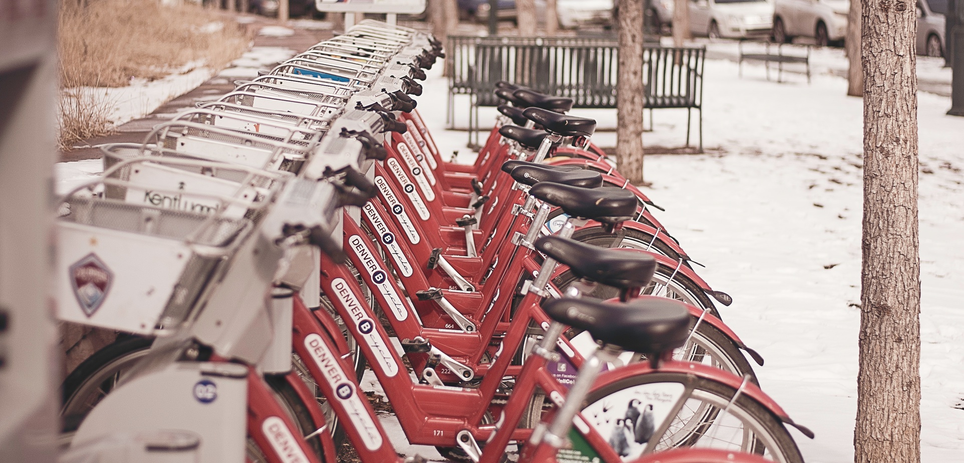 Des vélos en libre-service à Denver avec un sol enneigé