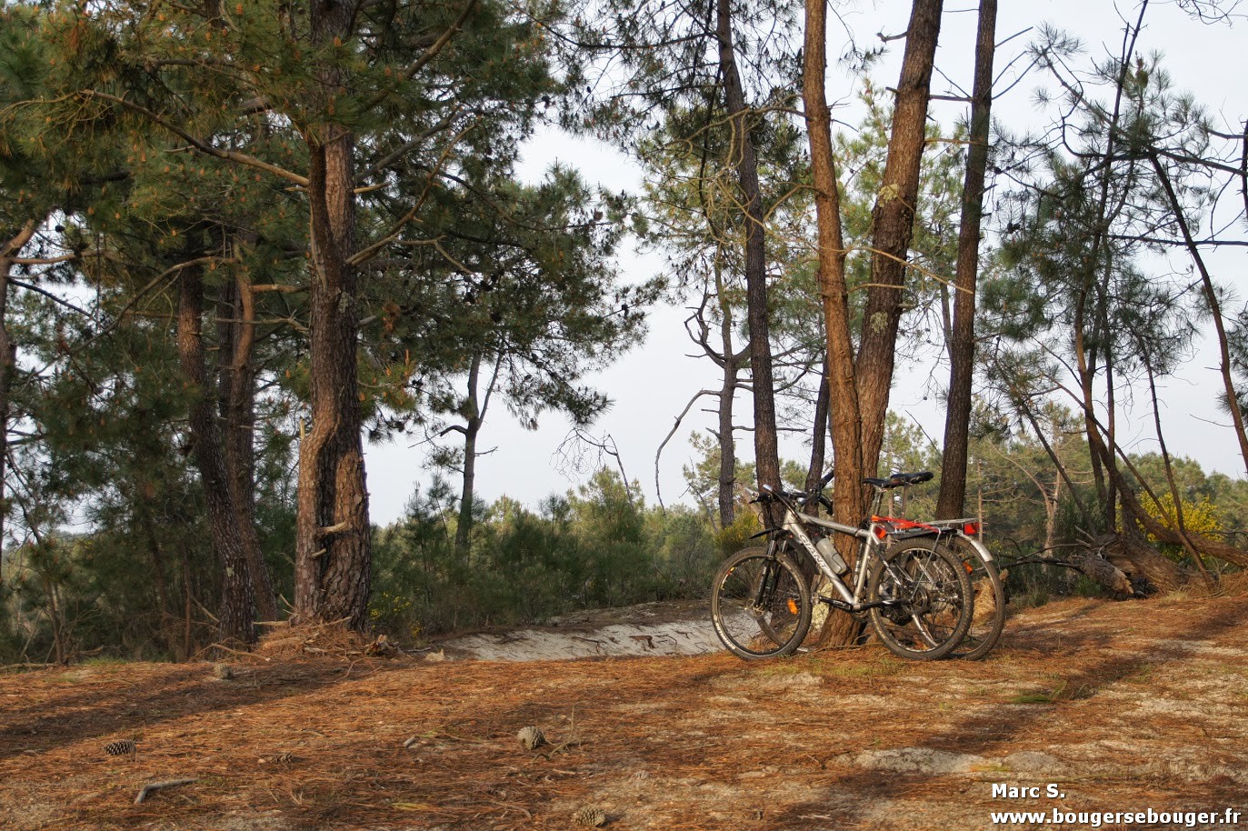 Vélos attachés dans les dunes près de l'océan atlantique pour rejoindre la plage et se reposer de notre rando vélo entre Charentes, Saintonge et Médoc (avril 2014)
