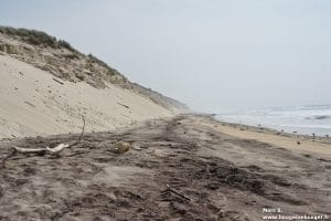 Lors d'une rando vélo entre Charentes, Saintonge et Médoc, la dune du Crohot des Cavales ravagée par les tempêtes de l'hiver 2013/2014, à proximité du domaine départemental de sports et de loisirs de Bombannes.